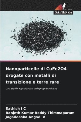 Nanoparticelle di CuFe2O4 drogate con metalli di transizione e terre rare 1