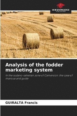 Analysis of the fodder marketing system 1