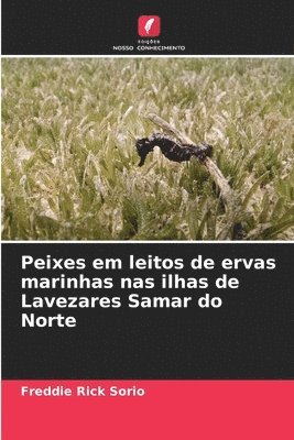 Peixes em leitos de ervas marinhas nas ilhas de Lavezares Samar do Norte 1