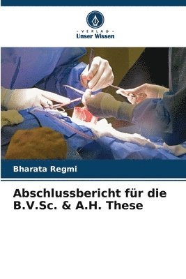 bokomslag Abschlussbericht fr die B.V.Sc. & A.H. These