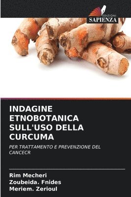 bokomslag Indagine Etnobotanica Sull'uso Della Curcuma
