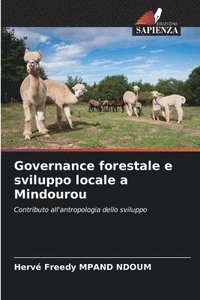 bokomslag Governance forestale e sviluppo locale a Mindourou