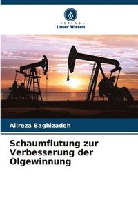 bokomslag Schaumflutung zur Verbesserung der lgewinnung