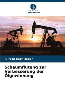 bokomslag Schaumflutung zur Verbesserung der lgewinnung