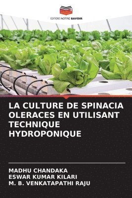 La Culture de Spinacia Oleraces En Utilisant Technique Hydroponique 1