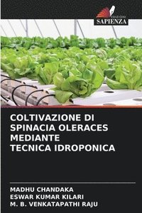 bokomslag Coltivazione Di Spinacia Oleraces Mediante Tecnica Idroponica