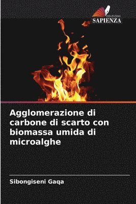 bokomslag Agglomerazione di carbone di scarto con biomassa umida di microalghe