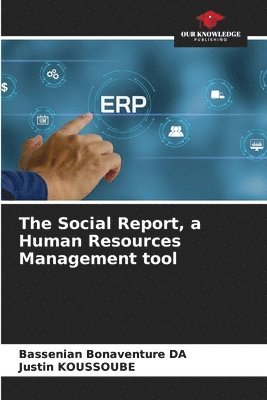 bokomslag The Social Report, a Human Resources Management tool