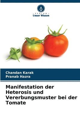 Manifestation der Heterosis und Vererbungsmuster bei der Tomate 1