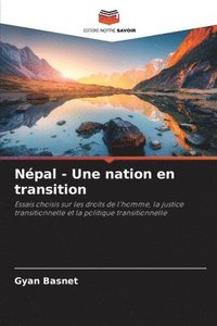 bokomslag Npal - Une nation en transition