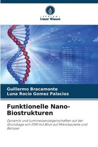 bokomslag Funktionelle Nano-Biostrukturen