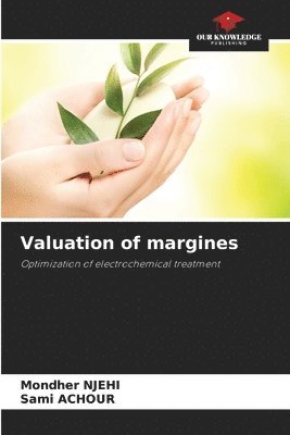 bokomslag Valuation of margines