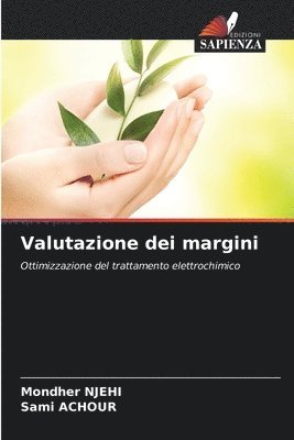 bokomslag Valutazione dei margini