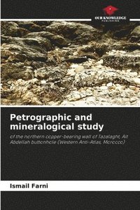 bokomslag Petrographic and mineralogical study