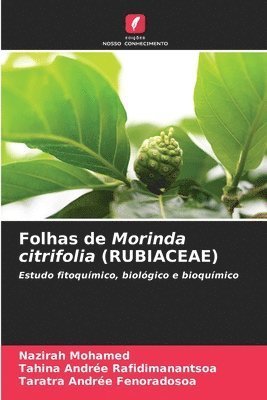 Folhas de Morinda citrifolia (RUBIACEAE) 1