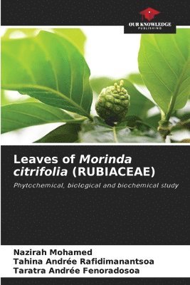 Leaves of Morinda citrifolia (RUBIACEAE) 1