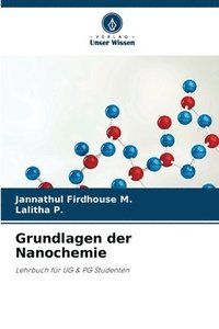 bokomslag Grundlagen der Nanochemie