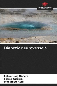 bokomslag Diabetic neurovessels
