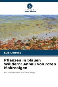 bokomslag Pflanzen in blauen Wldern