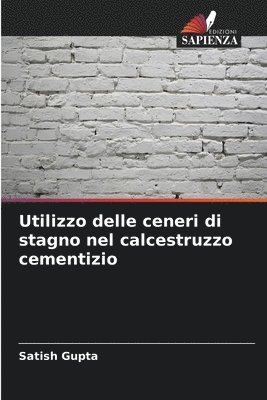 bokomslag Utilizzo delle ceneri di stagno nel calcestruzzo cementizio