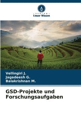 GSD-Projekte und Forschungsaufgaben 1