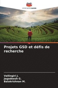 bokomslag Projets GSD et dfis de recherche