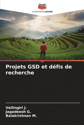 Projets GSD et dfis de recherche 1