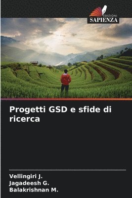 bokomslag Progetti GSD e sfide di ricerca