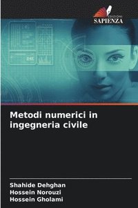 bokomslag Metodi numerici in ingegneria civile