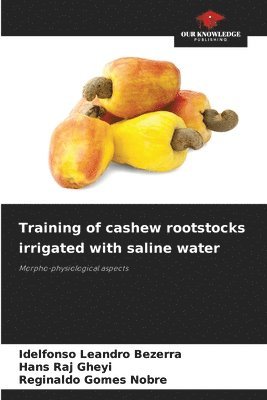Training of cashew rootstocks irrigated with saline water 1