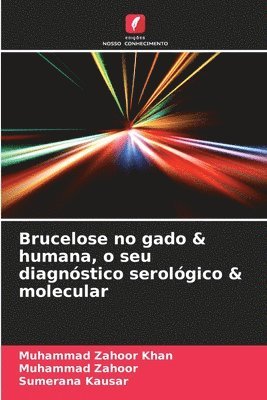 bokomslag Brucelose no gado & humana, o seu diagnstico serolgico & molecular