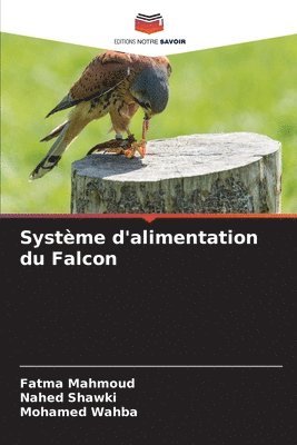 Systme d'alimentation du Falcon 1