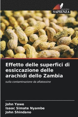 bokomslag Effetto delle superfici di essiccazione delle arachidi dello Zambia
