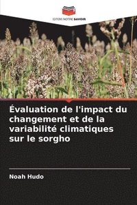 bokomslag valuation de l'impact du changement et de la variabilit climatiques sur le sorgho