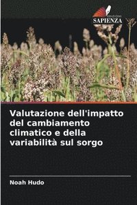 bokomslag Valutazione dell'impatto del cambiamento climatico e della variabilit sul sorgo