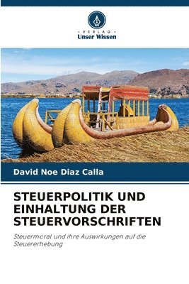 bokomslag Steuerpolitik Und Einhaltung Der Steuervorschriften