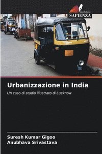 bokomslag Urbanizzazione in India