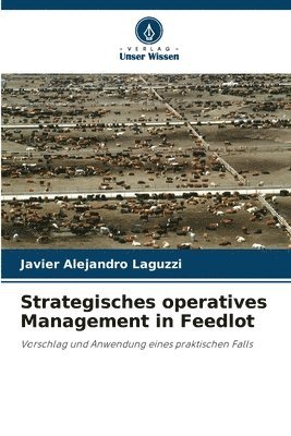 Strategisches operatives Management in Feedlot 1