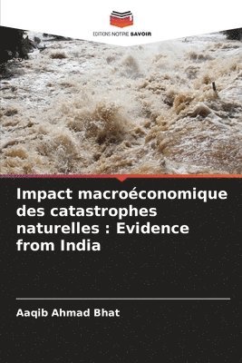 bokomslag Impact macroconomique des catastrophes naturelles