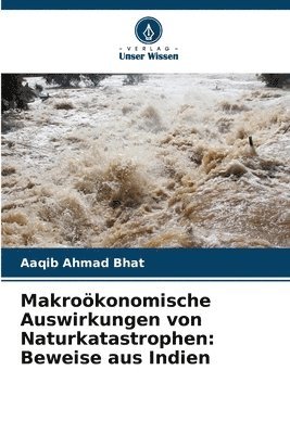 bokomslag Makrokonomische Auswirkungen von Naturkatastrophen