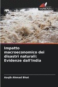 bokomslag Impatto macroeconomico dei disastri naturali