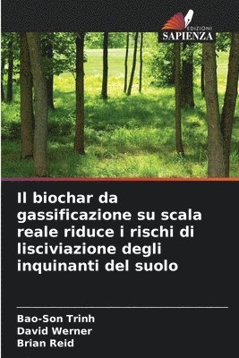 Il biochar da gassificazione su scala reale riduce i rischi di lisciviazione degli inquinanti del suolo 1