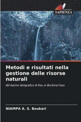 bokomslag Metodi e risultati nella gestione delle risorse naturali