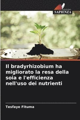 Il bradyrhizobium ha migliorato la resa della soia e l'efficienza nell'uso dei nutrienti 1