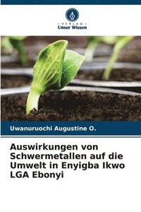 bokomslag Auswirkungen von Schwermetallen auf die Umwelt in Enyigba Ikwo LGA Ebonyi