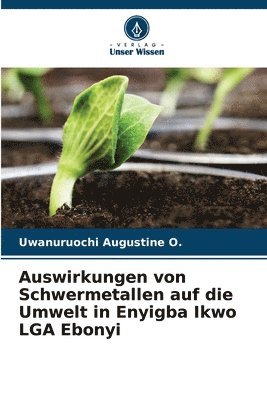Auswirkungen von Schwermetallen auf die Umwelt in Enyigba Ikwo LGA Ebonyi 1