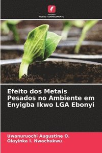 bokomslag Efeito dos Metais Pesados no Ambiente em Enyigba Ikwo LGA Ebonyi