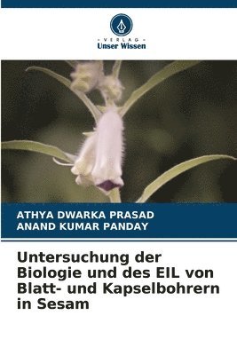 Untersuchung der Biologie und des EIL von Blatt- und Kapselbohrern in Sesam 1