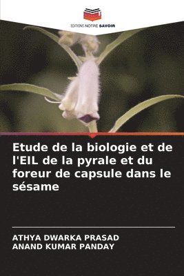 Etude de la biologie et de l'EIL de la pyrale et du foreur de capsule dans le ssame 1