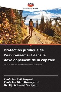 bokomslag Protection juridique de l'environnement dans le dveloppement de la capitale